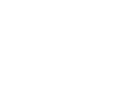 Blue Cross Blue Shield